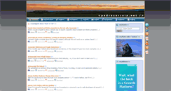 Desktop Screenshot of pedrocorreia.com
